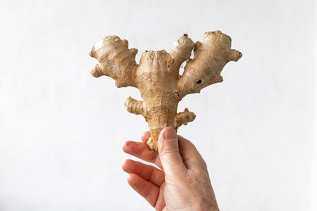 Whole and sliced fresh ginger roots on white wooden background top view copy space. Minimalistic style, seasoning spice ingredient for tea. Concept healthy food medicine improving immunityの写真素材