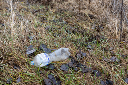 A discarded plastic bottle lies on dry grass and fallen leaves on the street. Environmental pollution and littering concept.の写真素材