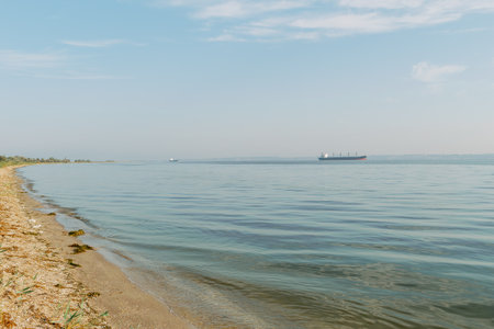 A peaceful beach with gentle waves lapping the shore, overlooking a calm sea with cargo ships in the distance under a clear sky.の写真素材