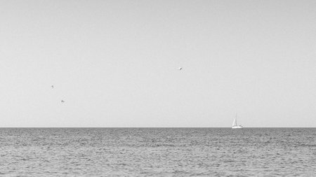 Sailboat on the horizon and seagulls flying over the sea. Black and white minimalist photography. Calm ocean and open sky. Aerial perspective with copy space for design and printing.の写真素材