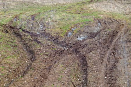 dirt road with deep tire tracks in a grassy forest in early spring. Landscape photo of nature in the open airの写真素材