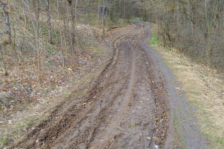 Muddy dirt road with tire tracks winding through the forest in early spring. Landscape photography for design and print. Rural and nature concept.の写真素材