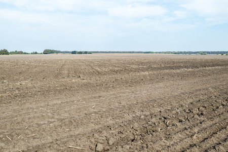 Plowed agricultural field, tractor tracks, close-up of soil texture. Rural scene. Farming and food industry, the topic of environmental protection. Landscape with blue sky and trees on the horizonの写真素材