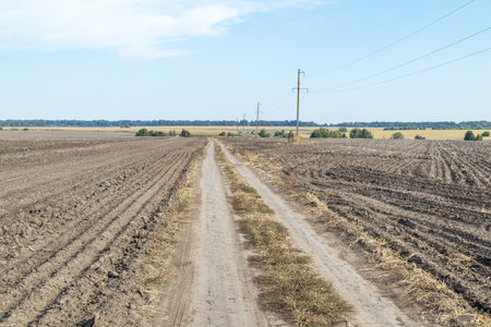 Plowed agricultural field, tractor tracks, close-up of soil texture. Rural scene. Farming and food industry, the topic of environmental protection. Landscape with blue sky and trees on the horizonの写真素材