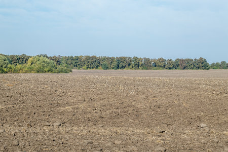 Plowed agricultural field, tractor tracks, close-up of soil texture. Rural scene. Farming and food industry, the topic of environmental protection. Landscape with blue sky and trees on the horizonの写真素材