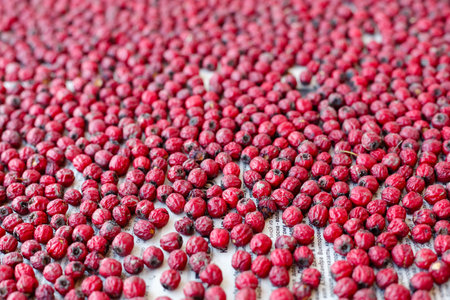 Dried red hawthorn berries spread out on paper. Close-up view of natural dried fruits. Macro photography for design and printingの写真素材