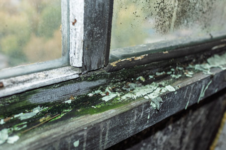 Old wooden window frame with mold, peeling paint and fungus. Fungus and dampness on a wet window.の写真素材