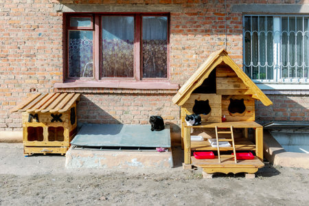Two wooden cat shelters placed against a brick wall, providing a home for stray cats. Two cats are resting in the sun.の写真素材