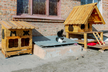 Two wooden cat shelters placed against a brick wall, providing a home for stray cats. Two cats are resting in the sun.の写真素材