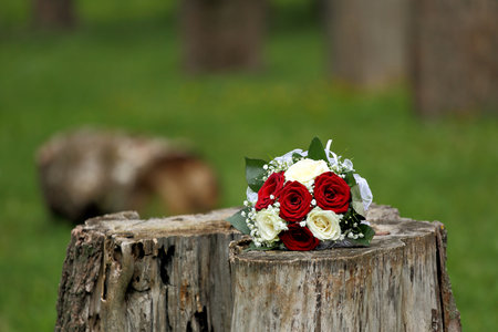 A beautiful bride's bouquet of white and red roses, beautifully decorated with a satin ribbon.の写真素材