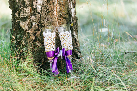 Two wedding glasses of champagne stand on the grass near the tree. Sunny day. Close up.の写真素材