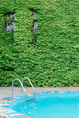 Modern swimming pool with beautiful relaxing blue water, stainless steel stairs on a sunny summer day. In the background is a house entwined with greenery.の写真素材