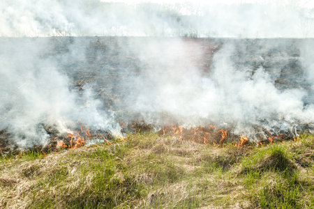 Burning dry grass on the field. Fire in the field. Environmental disaster, environment, climate change, environmental pollutionの写真素材