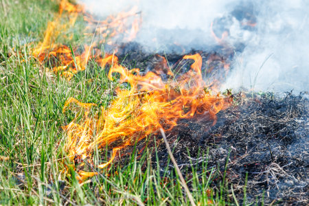 Burning dry grass on field close up. Fire in the field. Environmental disaster, environment, climate change, environmental pollutionの写真素材