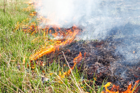 Burning dry grass on field close up. Fire in the field. Environmental disaster, environment, climate change, environmental pollutionの写真素材