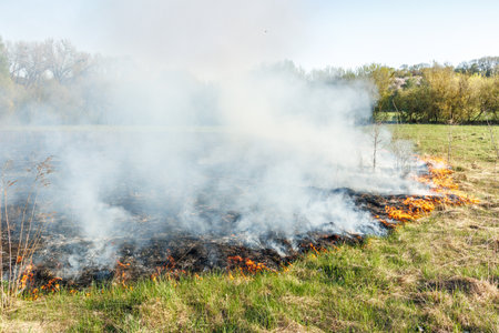 Dry grass is burning on a meadow in the countryside. A wild fire burns dry grass in a field. Orange flames and plumes of smoke. Open fire. Nature is on fire. Danger and disasterの写真素材