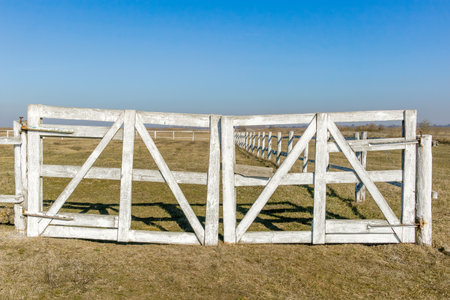 A weathered wooden gate with peeling white paint stands open in a rural field, surrounded by a...