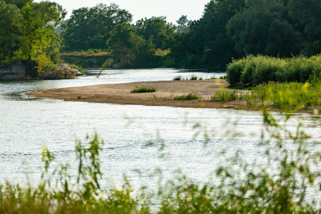 A tranquil river landscape featuring a sandy island with patches of greenery, surrounded by lush trees and calm flowing water.の写真素材