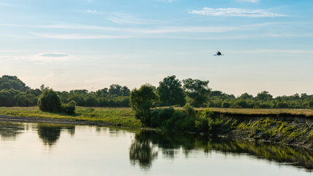 A tranquil river reflecting lush greenery under a blue sky, with a lone bird soaring above the...