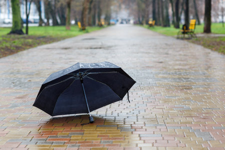 Black abandoned umbrella lies open on a wet brick pathway in a city park, surrounded by green grass and yellow benches. Captures solitude and the aftermath of rainの写真素材