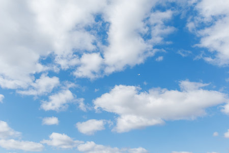 Bird soaring high in a blue sky filled with fluffy white clouds. The wide view captures the vastness of the sky, instilling a sense of freedom and serenityの写真素材