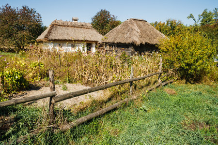 Two rustic houses with thatched roofs surrounded by a wooden fence, dry cornfield, and lush greenery under a clear blue sky.の写真素材