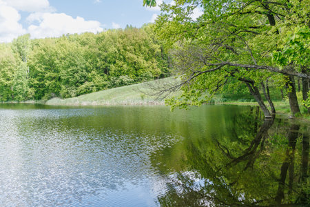 A calm forest lake with overhanging green trees reflecting in the water, surrounded by lush spring foliage and blue skies.の写真素材
