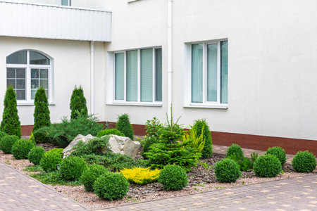 Neatly maintained garden with ornamental shrubs, conifers, and decorative stones next to a contemporary white residential buildingの写真素材