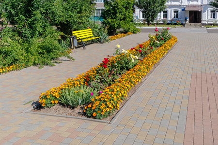 Neatly arranged flowerbed with marigolds and roses in a landscaped city park with paved paths and a yellow bench.の写真素材