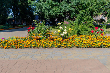 Vibrant flower bed with marigolds and roses in a landscaped city park, surrounded by trees and paved walking paths.の写真素材