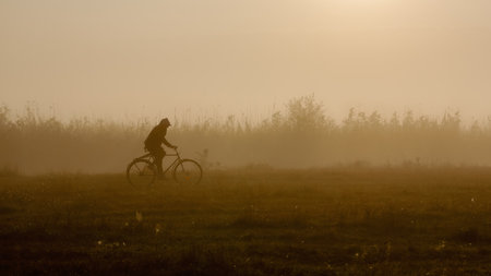 A person rides a bicycle through a misty rural field at sunrise, creating a peaceful silhouette in golden morning light.の写真素材