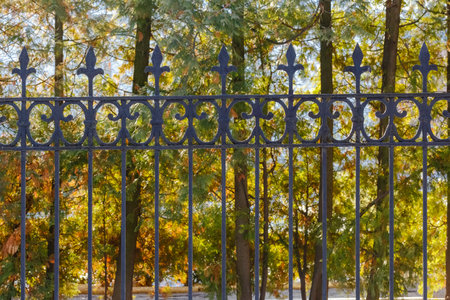 Close-up of ornate black wrought iron fence with fleur-de-lis design, set against colorful autumn...