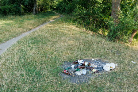 Plastic bottles, bags, and burnt trash left in a grassy meadow near a forest path, showing pollution...