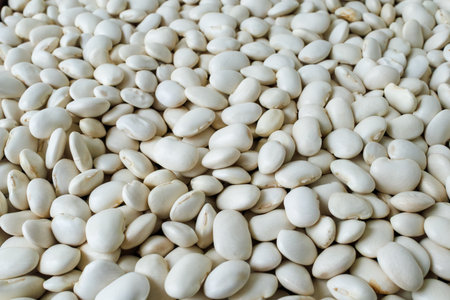 Close-up of many raw white beans, showing their smooth texture and natural color, commonly used in...