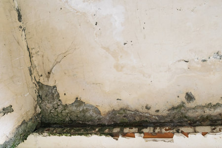 Close-up of an old wall showing severe water damage, cracked plaster, mold growth, and peeling paint...