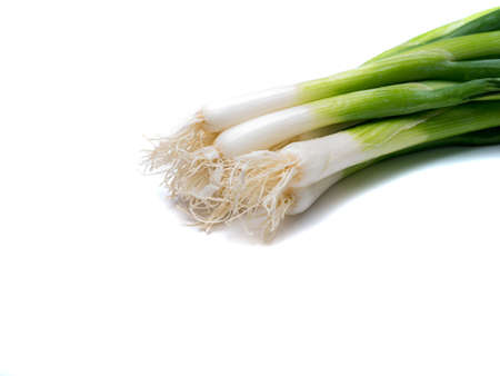 Bundle of spring onions isolated on white background.