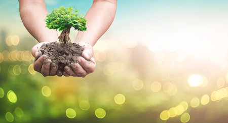 World environment day concept: Human hands holding big tree over blurred abstract beautiful green nature backgroundの写真素材