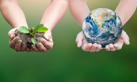 World environment day concept. Two human hands holding earth globe and tree over blurred nature background.の写真素材