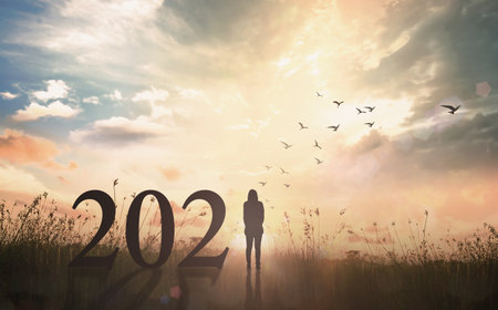 Success woman of new year 2021 concept: Silhouette woman with text for 2021 against on meadow sunset...