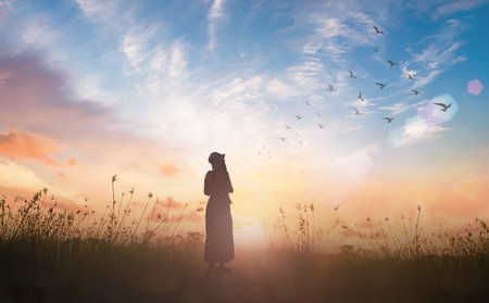 Silhouette traveler standing with birds flying on abstract of heaven backgroundの写真素材