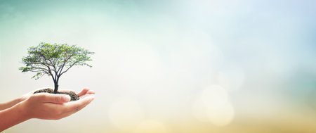 Human hands holding big tree over blurred green forestの写真素材