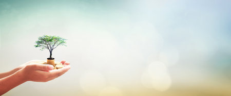 Human hands holding stacks of golden coins and growth tree on blurredの写真素材