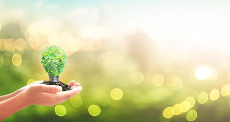 World environment day concept: Human hand holding light bulb of tree on blurred nature backgroundの写真素材