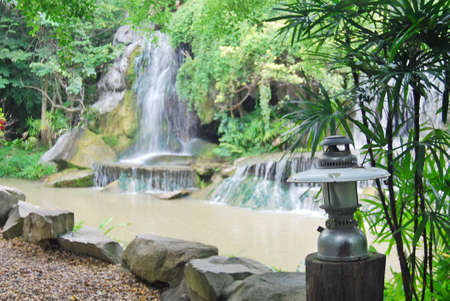 The old Paraffin lamp in forestの写真素材