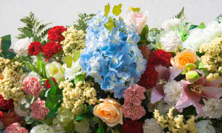 The Beautiful colored flowers background image 