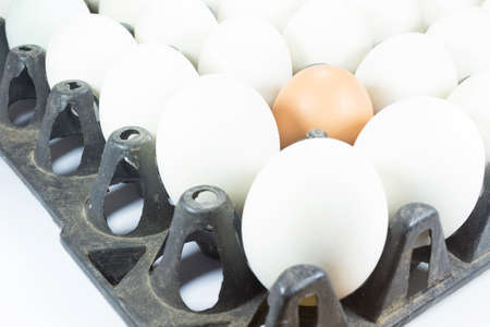 white eggs and one brown egg ordered in a plastic boxの写真素材