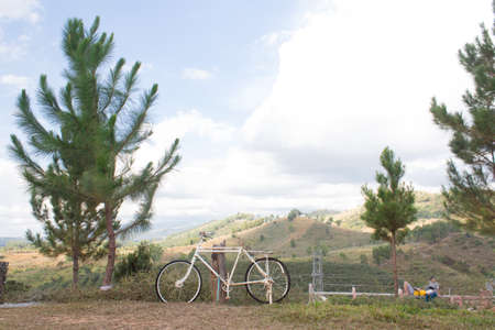 a beautiful old white bicycle in balcony view of green mountain with pine treeの写真素材