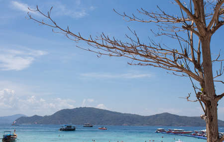 tree branch and blue sea clear sky, Vacation times for relaxingの写真素材
