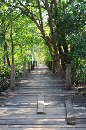 wooden board walk path leading to destinationの写真素材