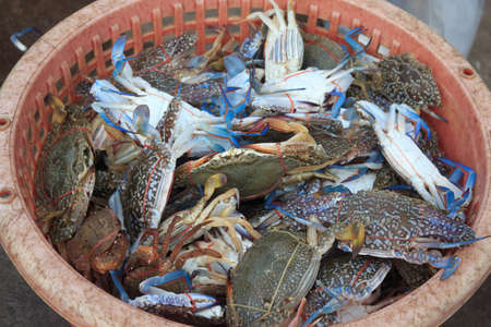 fresh crab for sell at seafood marketの写真素材